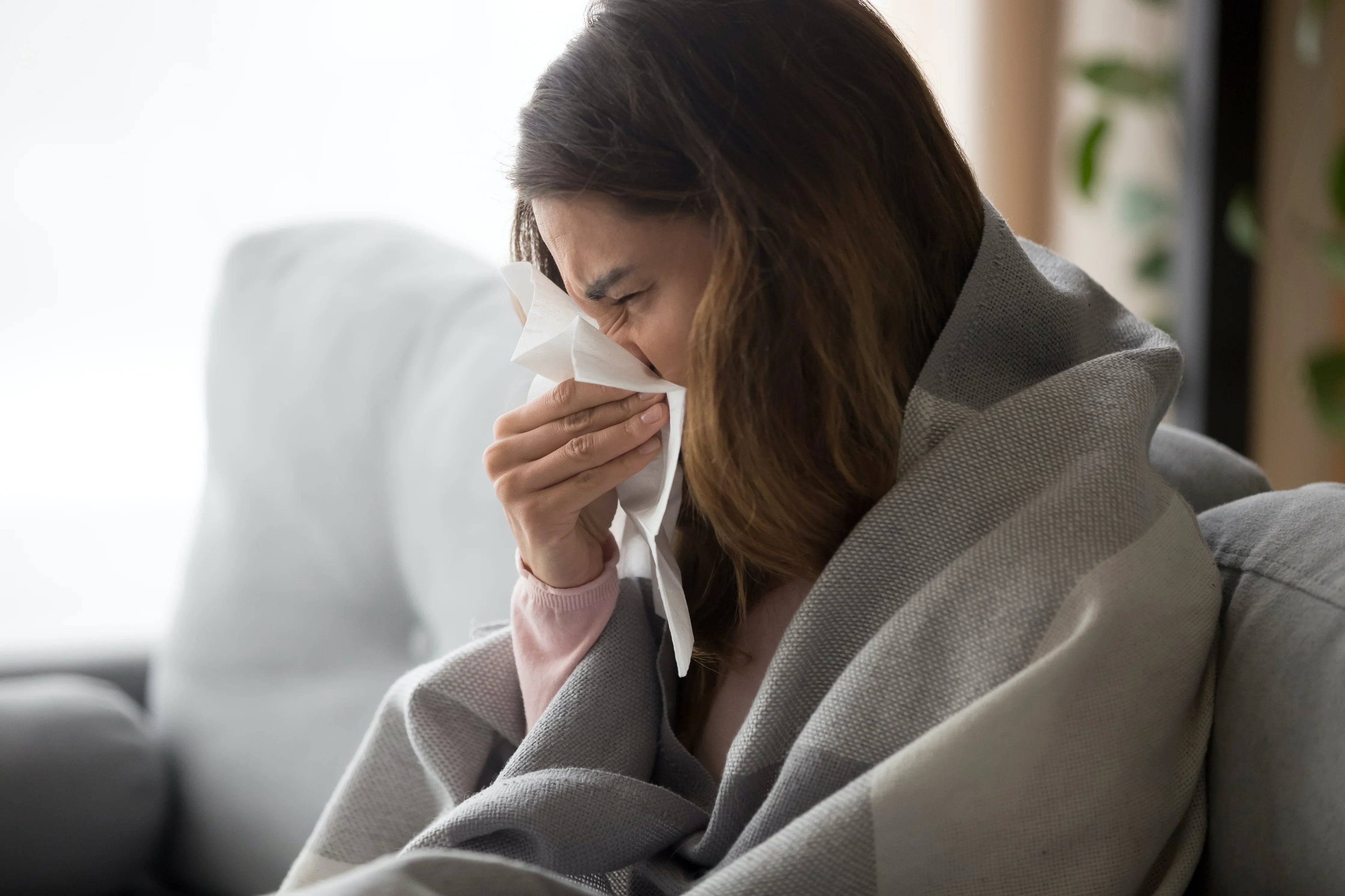Woman wrapped in a blanket sneezing with tissue, allergy discomfort at home.